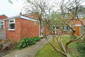 Photo 15- click for photo gallery